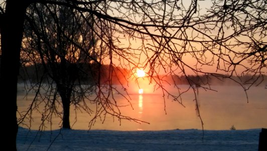 Sky, Winter, Branch, Sunrise photo
