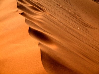 Erg, Brown, Desert, Sand photo