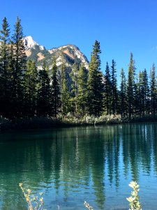 Reflection, Nature, Lake, Water