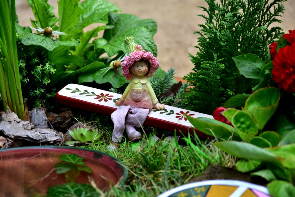 Plant, Garden, Leaf, Grass