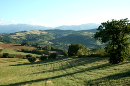 Grassland, Highland, Hill, Pasture photo