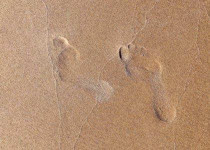 Sand, Footprint, Soil, Ecoregion photo