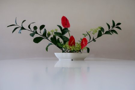 Ikebana, Plant, Flowerpot, Vase photo