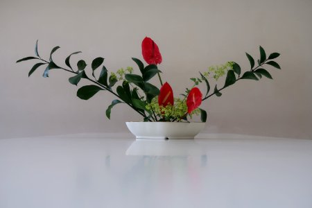 Ikebana, Plant, Flowerpot, Vase