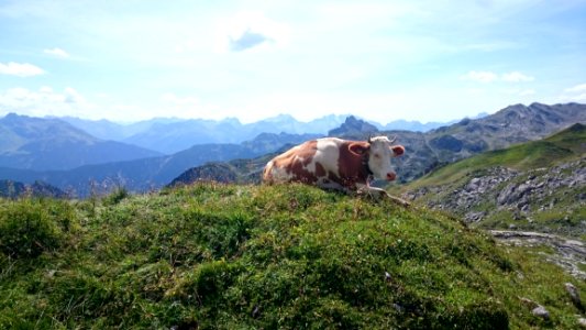 Mountainous Landforms, Highland, Mountain, Wilderness photo