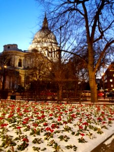 Landmark, Tourist Attraction, Flower, Plant