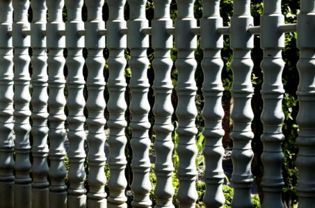 Pattern, Material, Symmetry, Grass photo