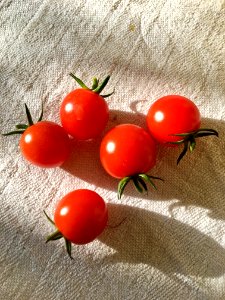 Natural Foods, Fruit, Plum Tomato, Vegetable photo