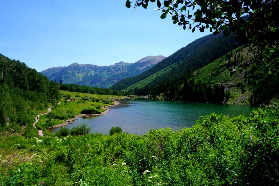 Nature, Nature Reserve, Wilderness, Vegetation