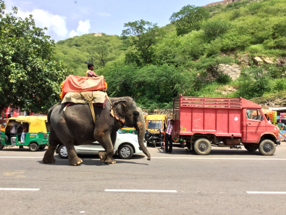 Car Vehicle Transport Motor Vehicle
