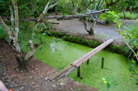 Nature Reserve Vegetation Wetland Water Resources