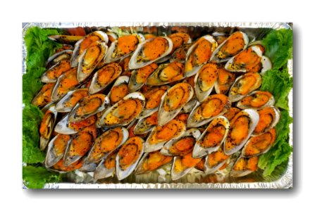 Seafood Food Mussel Animal Source Foods