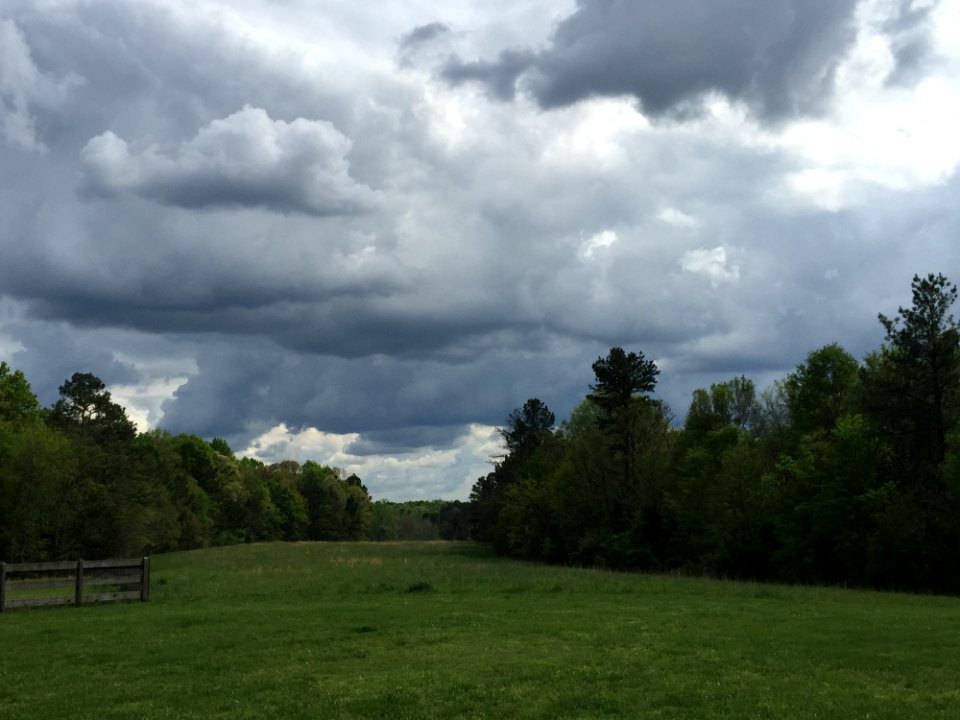 Cloud Sky Grassland Pasture