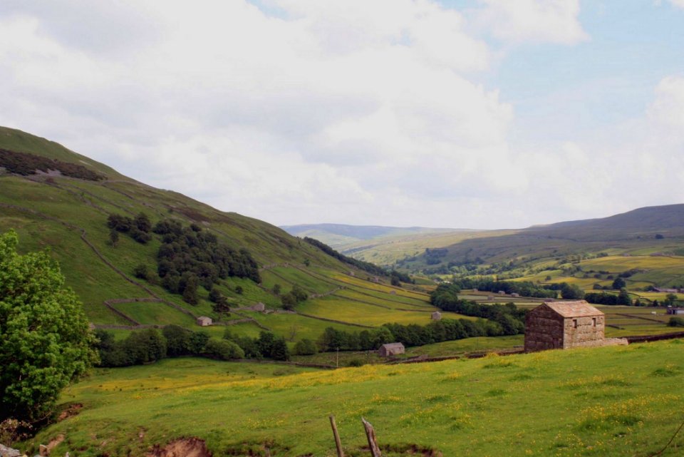 Highland Grassland Hill Pasture