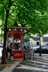 Public Space Tree Plant Street