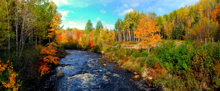 Nature Ecosystem Nature Reserve Wilderness photo