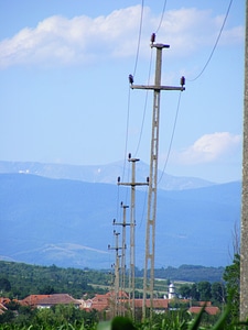 Line industry energy