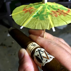 Leaf Moths And Butterflies Insect Umbrella