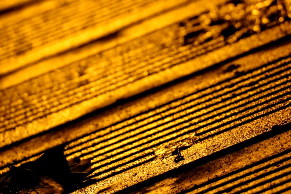 Yellow Wood Close Up Line