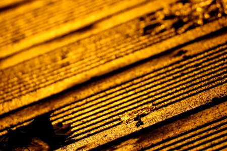 Yellow Wood Close Up Line