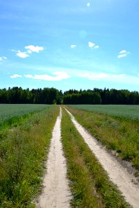 Road Sky Field Path photo