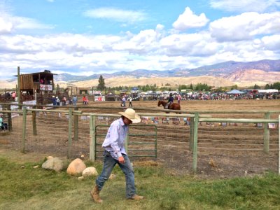 Farm Pasture Ranch Rural Area photo