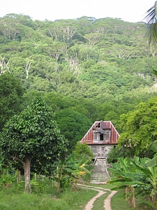 House building jungle photo