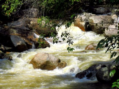 Water Nature Stream Watercourse