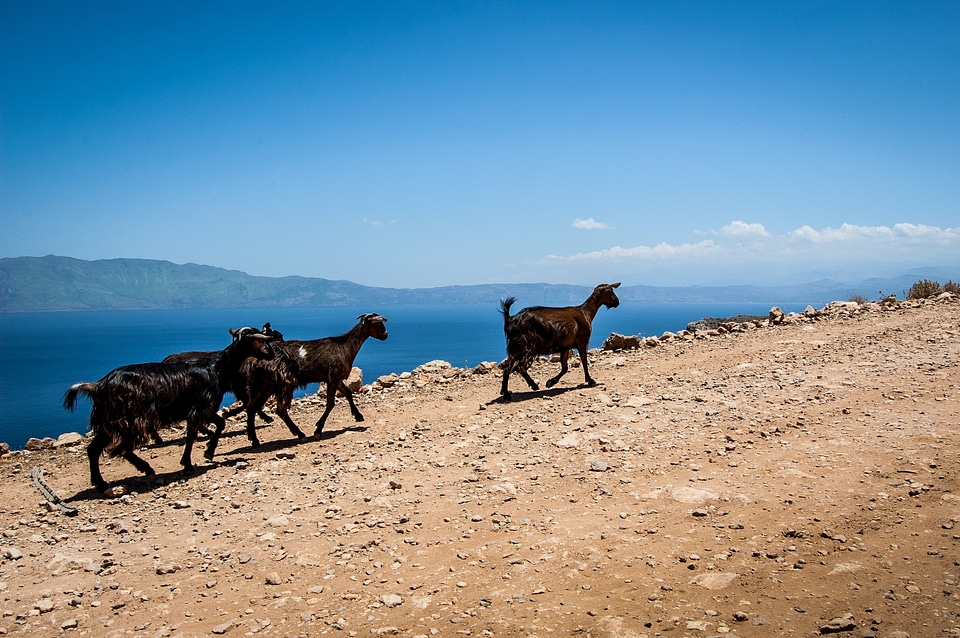 The stones greece crete
