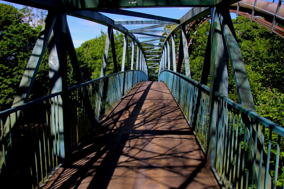 Bridge Nature Tree Iron
