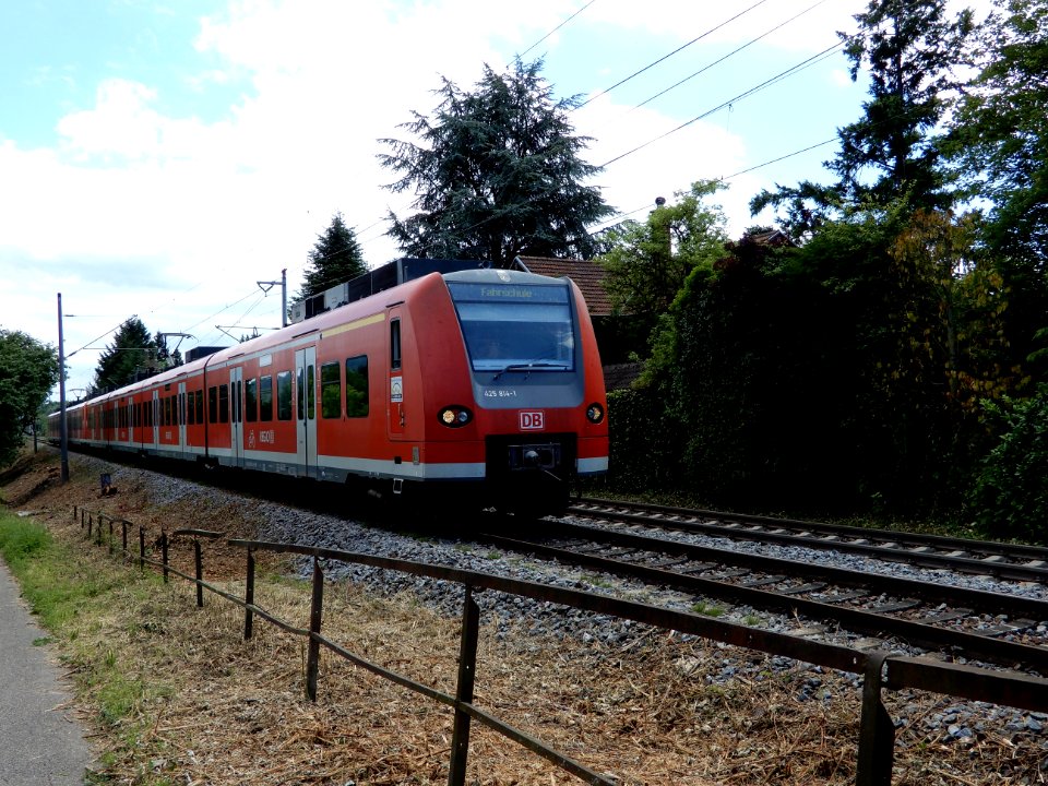 Transport Train Track Rail Transport