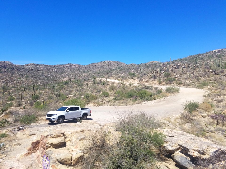 Road Mountainous Landforms Wilderness Ecosystem photo