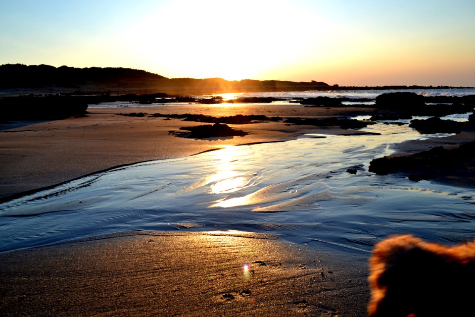 Sea Body Of Water Shore Sky