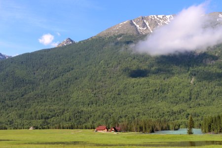 Highland Grassland Mountainous Landforms Wilderness photo