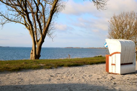 Sky Shore Beach Tree photo