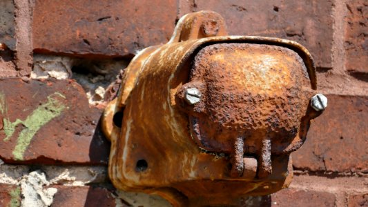 Snout Rust Metal