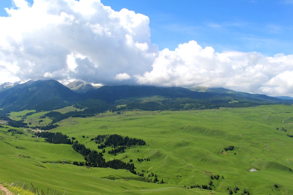 Grassland Highland Sky Ecosystem