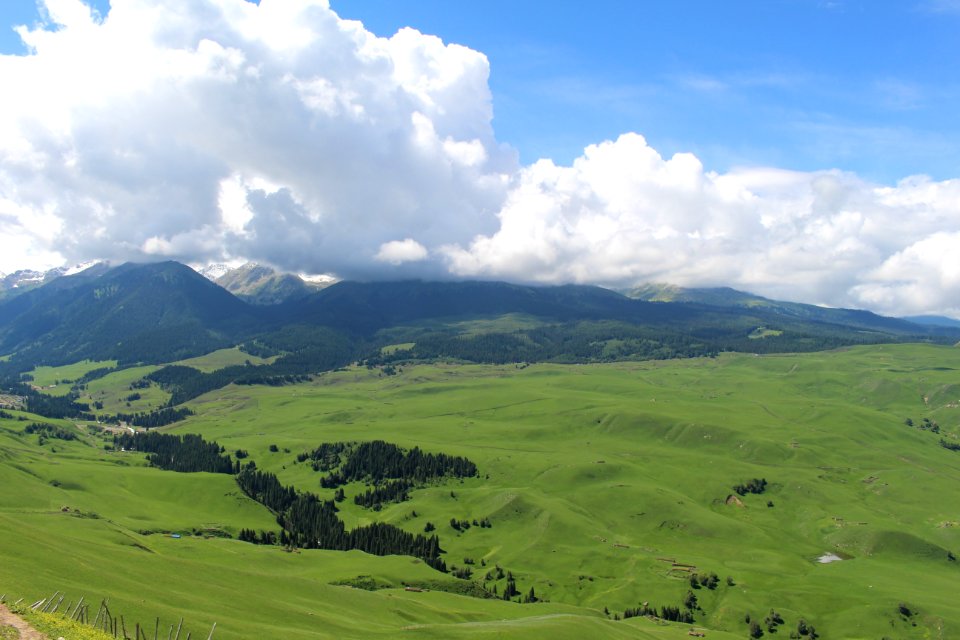 Grassland Highland Sky Ecosystem photo