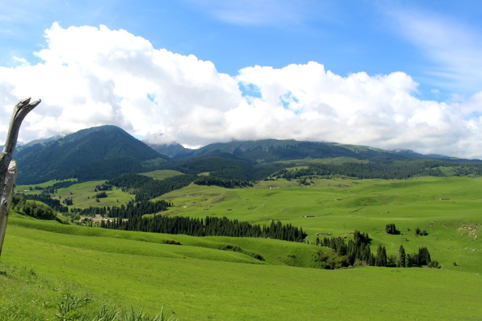 Grassland Sky Highland Pasture