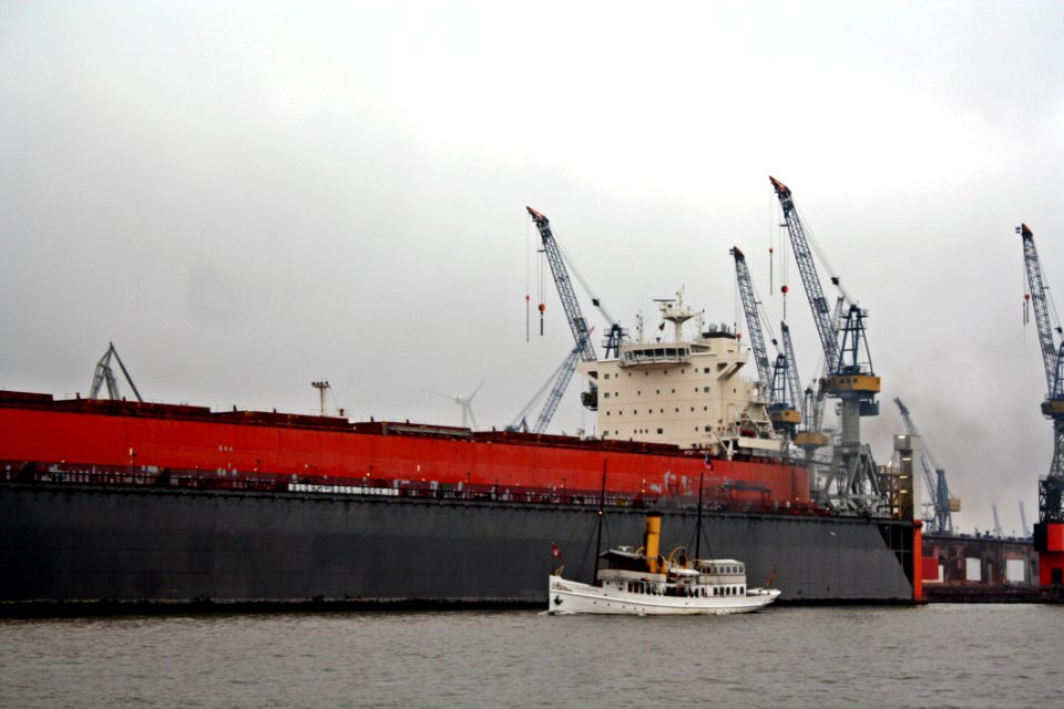 Bulk Carrier Ship Panamax Cargo Ship