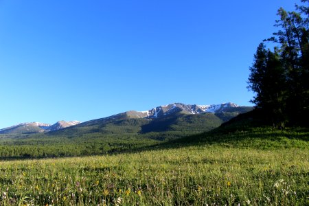 Grassland Ecosystem Mountainous Landforms Wilderness photo
