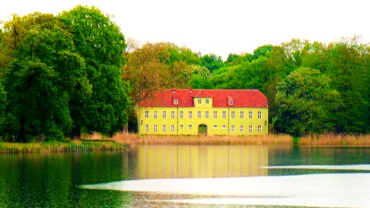 Reflection Water Nature Green