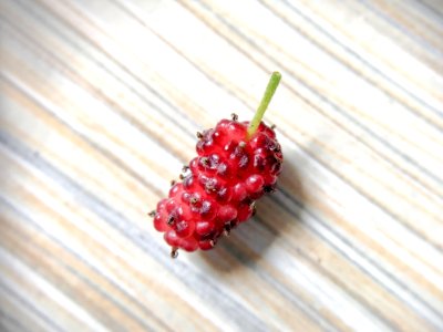 Strawberry Fruit Strawberries Berry