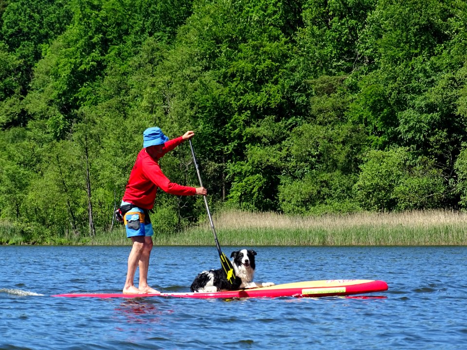 Water Nature Waterway Canoeing