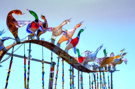 Amusement Park Tree Recreation