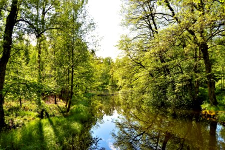 Reflection Water Nature Waterway photo