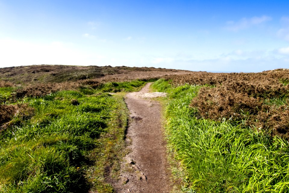 Vegetation Path Sky Ecosystem