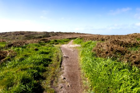 Vegetation Path Sky Ecosystem photo