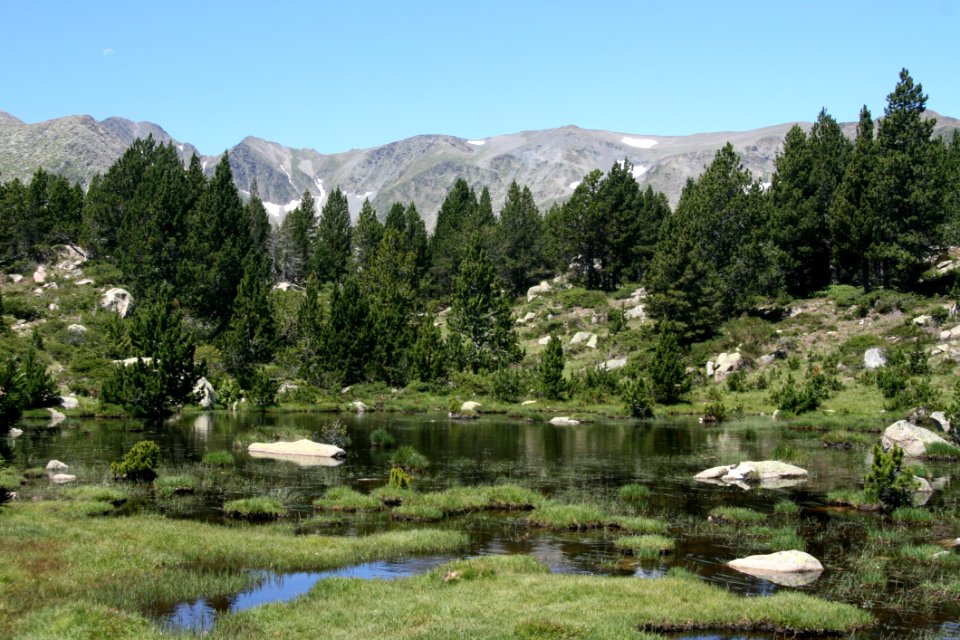 Tarn Wilderness Nature Reserve Lake