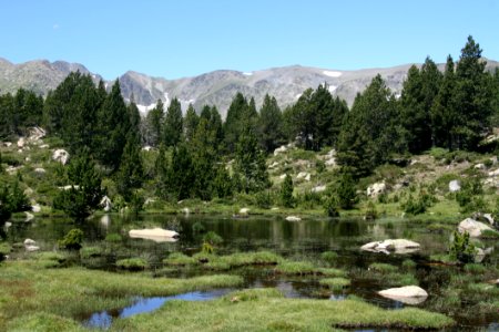 Tarn Wilderness Nature Reserve Lake